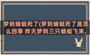 梦到蜻蜓死了(梦到蜻蜓死了是怎么回事 昨天梦到三只蜻蜓飞来,结果死了~)